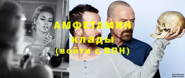 шишки Алзамай