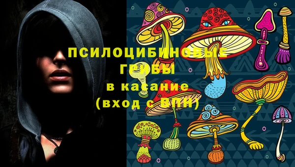 шишки Алзамай