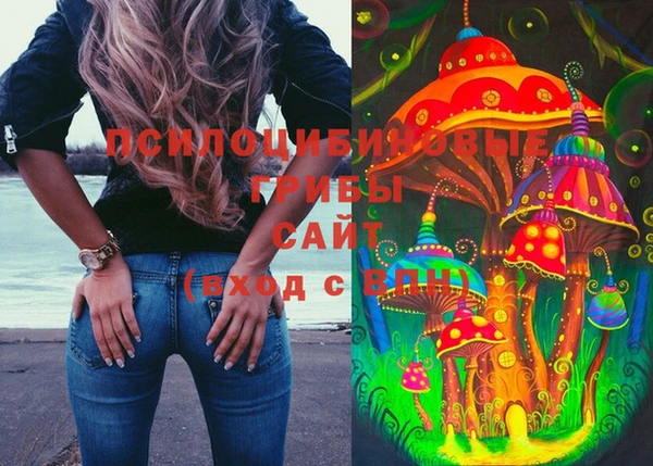 шишки Алзамай