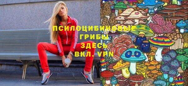 дурь Алексин