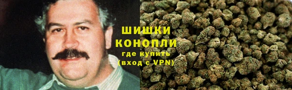 дурь Алексин