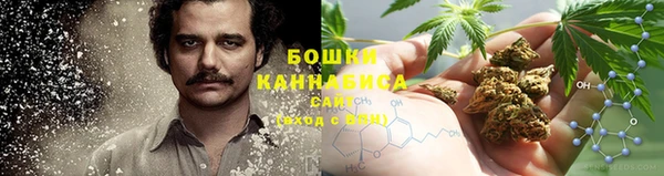 шишки Алзамай
